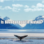 Is  Bovada Legal in Alaska?